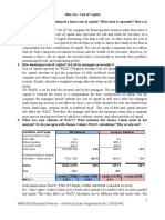 Nike Inc Cost of Capital Report 