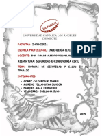 Monografia de Normas de Seguridad y Salud en El Trabajo PDF