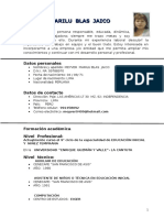 Curriculum Vitae MEYVER