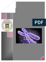 Trabajo de Investigación Genetica