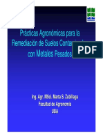 Remediacion de Suelos Contaminados Con Metales Pesados