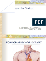 Cardiovascular System