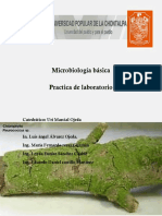 Práctica 1. Observación de Células Al Microscopio