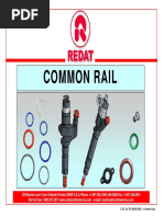 Common Railmod3