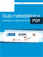 Guía Investigación y Desarrollo Profesional 1