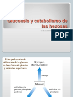 Glucolisis y Catabolismo de Hexosas