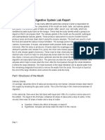 Digestive System Lab Report: Part I Structures of The Mouth