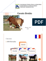 Cavalo Bretão