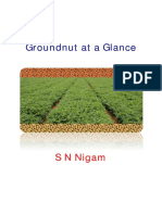 Groundnut at A Glance-Final Version-6Jan2015