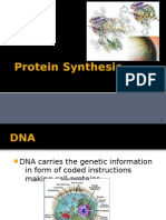 Protein Synthesis