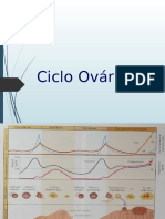 1 Ciclo-Ovarico