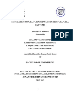 Thoery and Simulations For Fuel Cell Systems