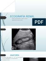 Ecografía Renal