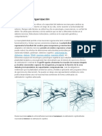 Plasticidad Neuronal y Cognición