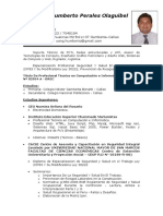 Yong Perales CV Mayo 2016