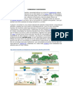 Comunidad o Biocenosis