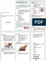 Triptico Enfermedades Sistema Circulatorio