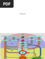 Degradasi Lipid