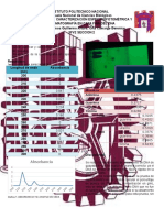 Aislamiento y Caracterización Espectrofotométrica y Cromatografía en Capa Fina Del Dna