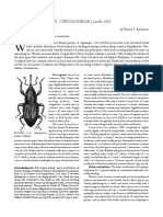 Clasificacion Taxonomica de Curculionidae Anderson2002