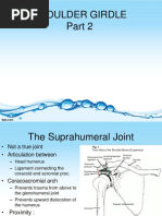 Anatomi Dan Kinesiologi Shoulder Part 2