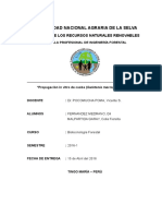 Propagación in Vitro de Caoba