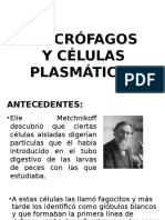 Macrofagos y Celulas Plasmaticas