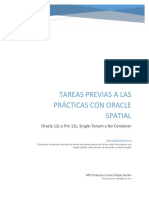 Tareas Previas A La Realización de Las Prácticas Con Oracle Spatial