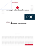  Gestão Processos - Módulo 1