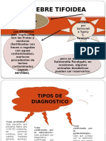 Fiebre Tifoidea