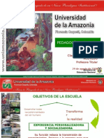 Presentación Pedagogia Ambiental