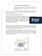 Qué Es y Cómo Funciona Un Galvanómetro