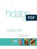 Rutas Gastronómicas de Hidalgo