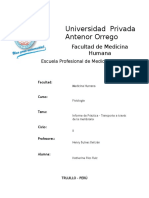 Informe de Fisiología 2 UPAO