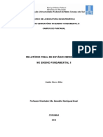 Relatório Final - Ensino Fundamental II - Emilio Flores Filho - Ano Letivo 2015