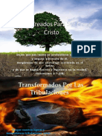 Transformados Por Las Tribulaciones - 1