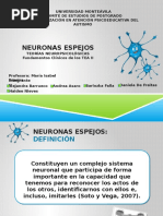 Presentación de Neuronas en Espejo