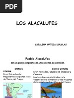 Alacalufes