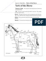 Parts of Horse PDF