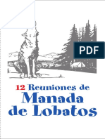 12 Reuniones Manada 2015