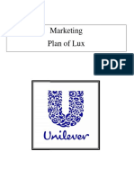 Marketing Plan of Lux