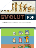 Evolution of Retail