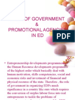 Role of Government 1