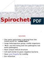 Gram Negative Spirochetes