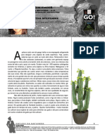 Cactos PDF