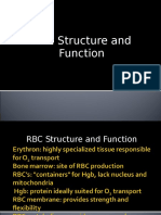 RBC, Structure and Function