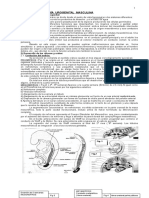 Apuntes de Embriología Urogenital