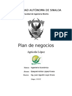 Plan de Negocios