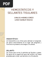 Hemostaticosysellantestisulares 130515182403 Phpapp01