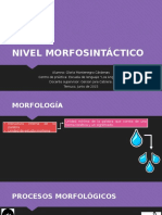 Nivel Morfosintáctico Presentación